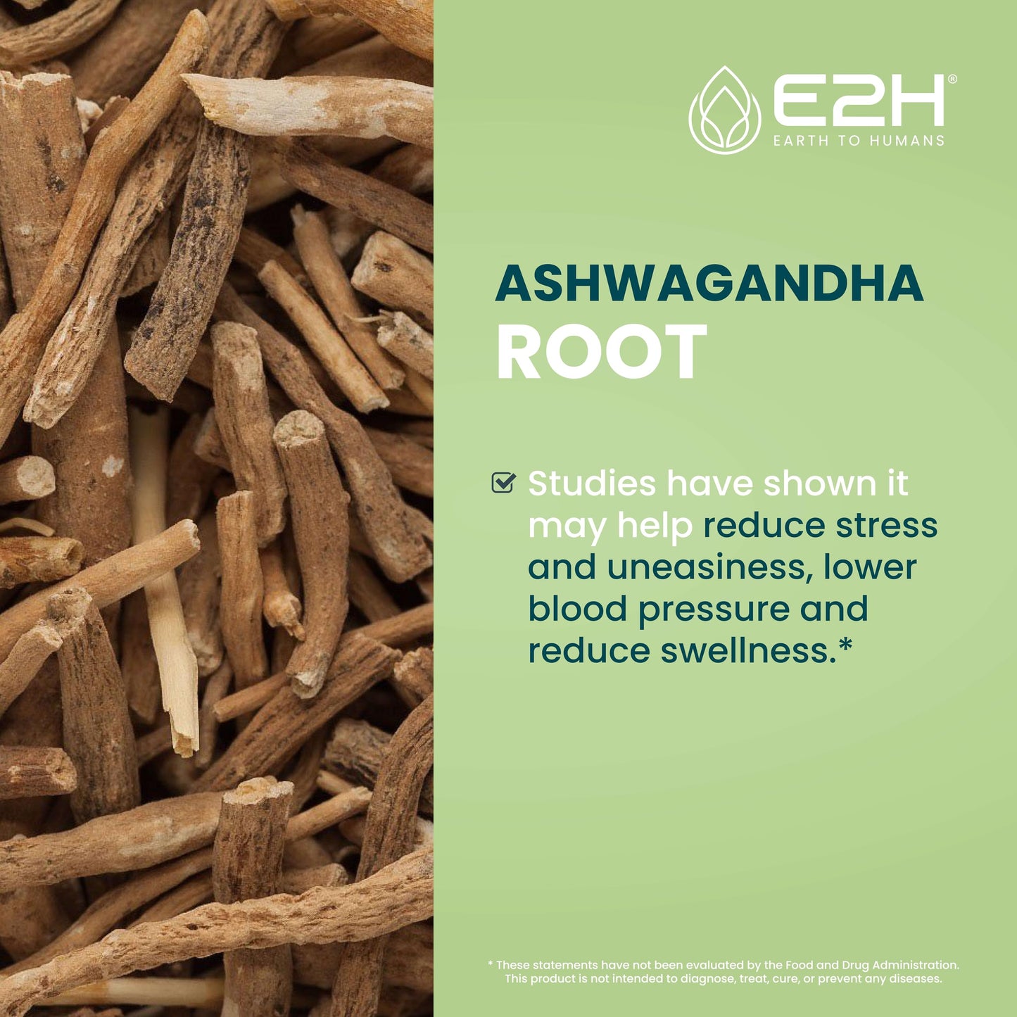 E2H Ashwagandha Liquid Drops - All-Natural Ashwagandha Supplement for Stress Relief and Mood Enhancer- Organic Ashwagandha Root Extract Effective Cortisol Manager | Non-GMO, Vegan (3 Bottles)