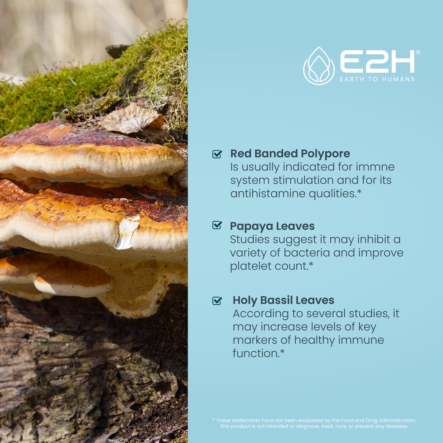 All-Natural IMMUNITY BOOST - Vegan