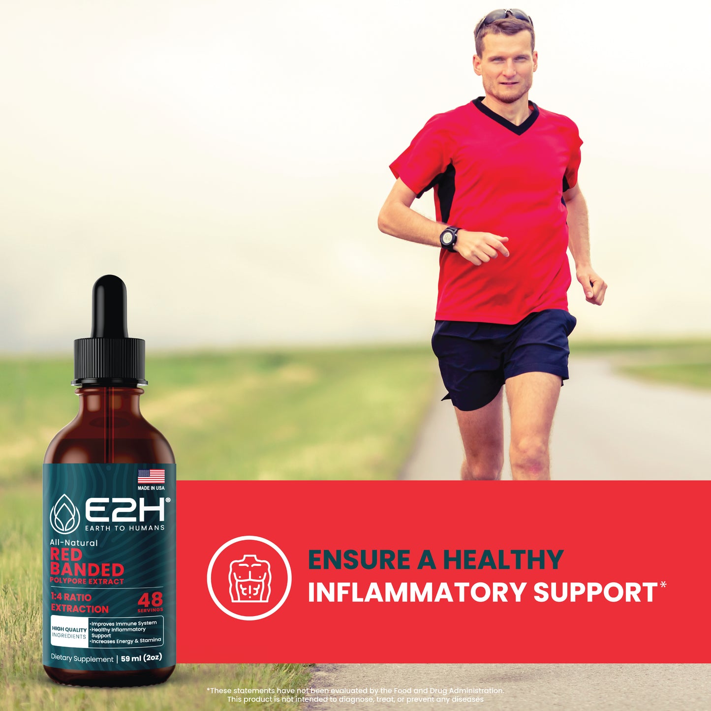 RED BANDED POLYPORE MUSHROOM Liquid Extract - E2H