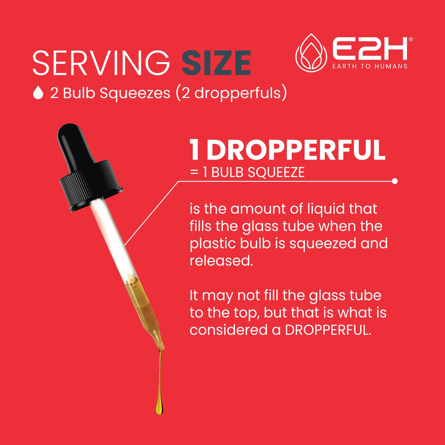 RED BANDED POLYPORE MUSHROOM Liquid Extract - E2H