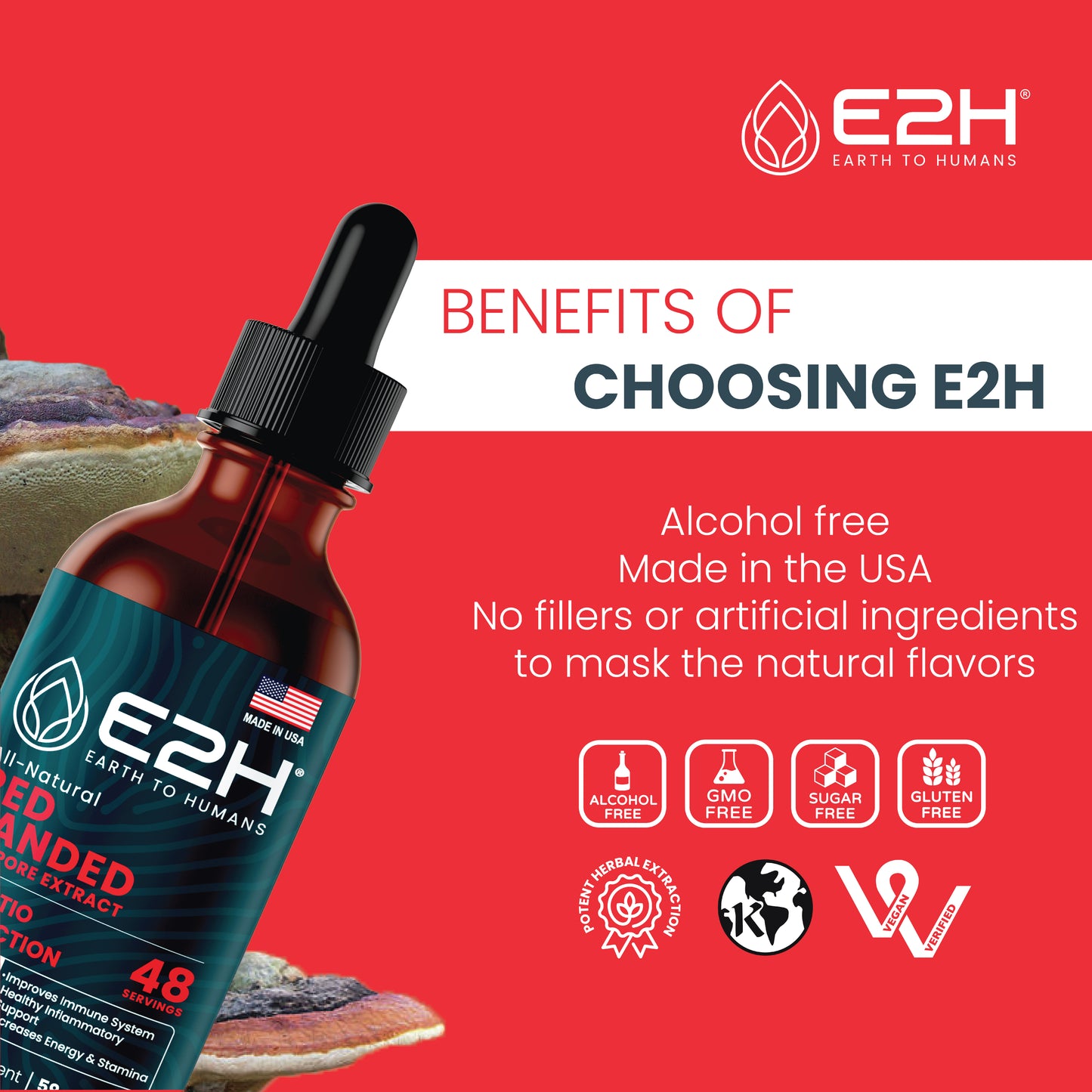 RED BANDED POLYPORE MUSHROOM Liquid Extract - E2H