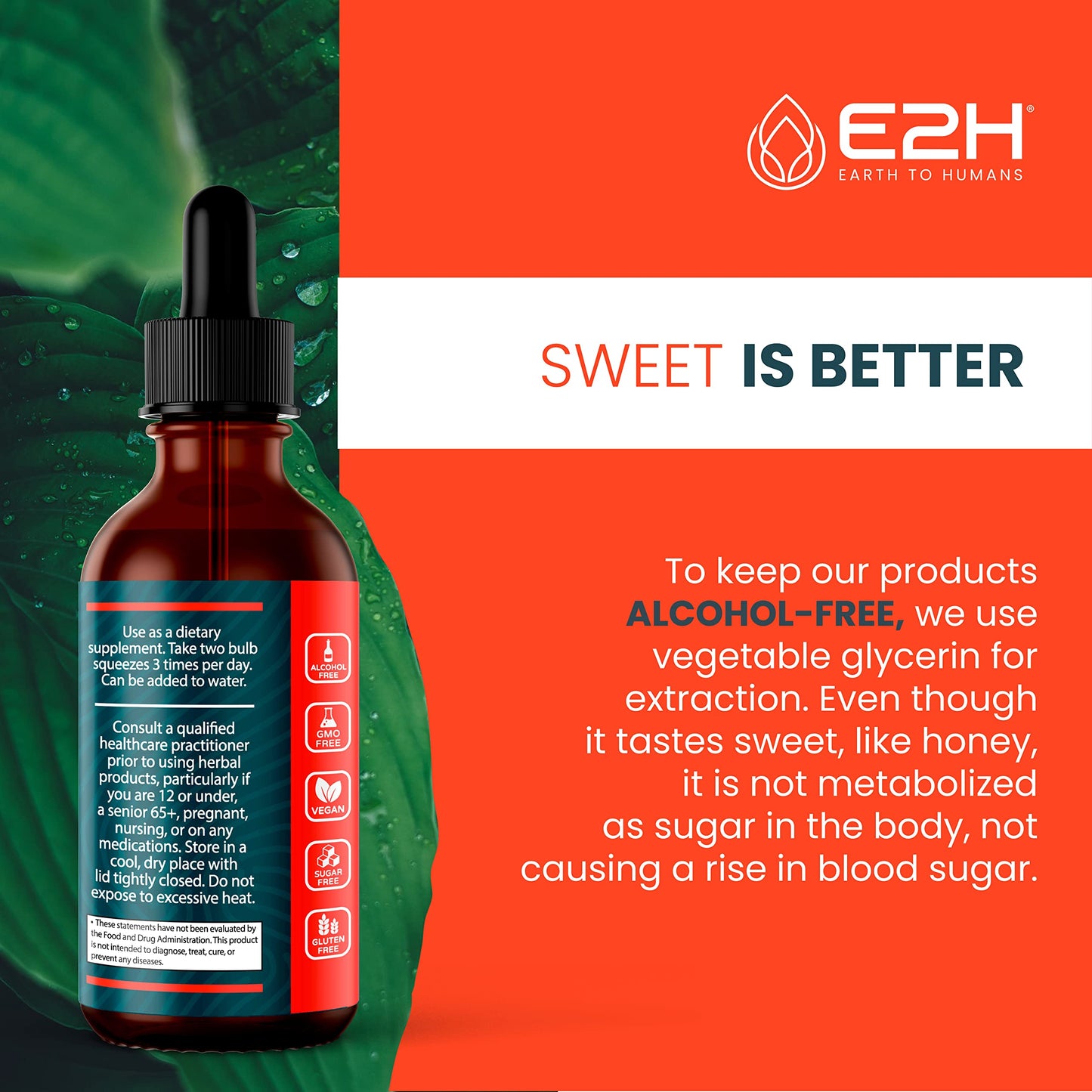 
                  
                    E2H Liquid Korean Panax Ginseng Extract - Increase Energy & Focus - All-Natural Organic Korean Red Ginseng for Brain Health & Cognitive Function Improvement | Non-GMO, Vegan (3 Bottles)
                  
                