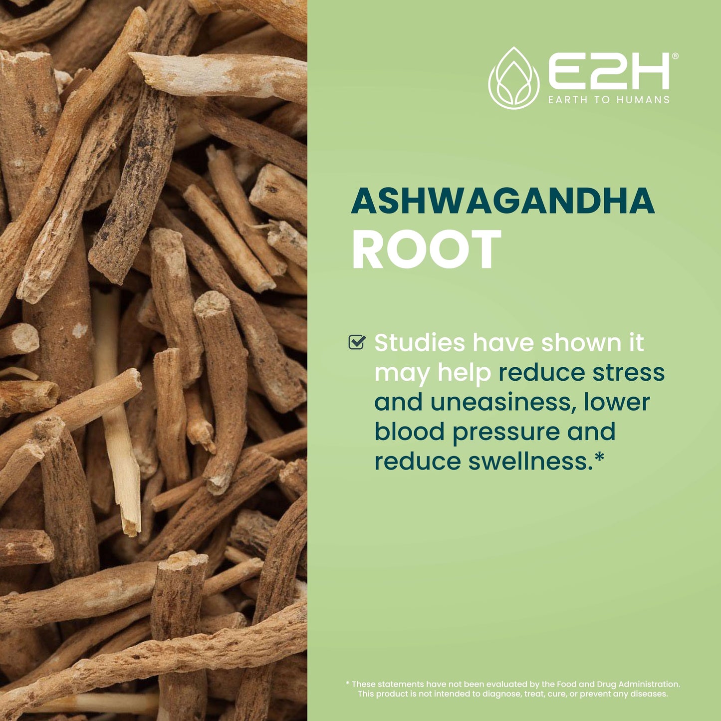 
                  
                    E2H Ashwagandha Liquid Drops - All-Natural Ashwagandha Supplement for Stress Relief and Mood Enhancer- Organic Ashwagandha Root Extract Effective Cortisol Manager | Non-GMO, Vegan (3 Bottles)
                  
                