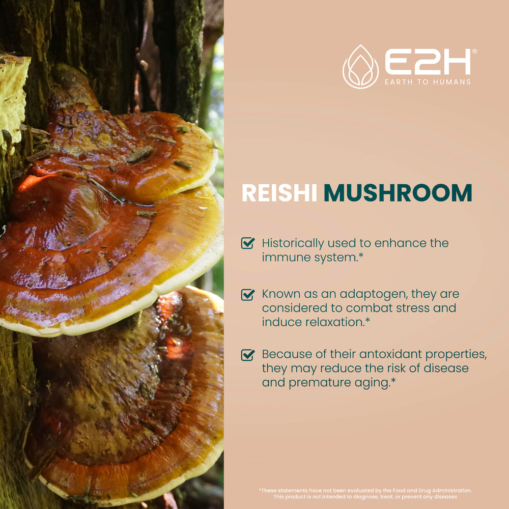 
                  
                    All-Natural REISHI MUSHROOM Liquid Extract - Vegan
                  
                