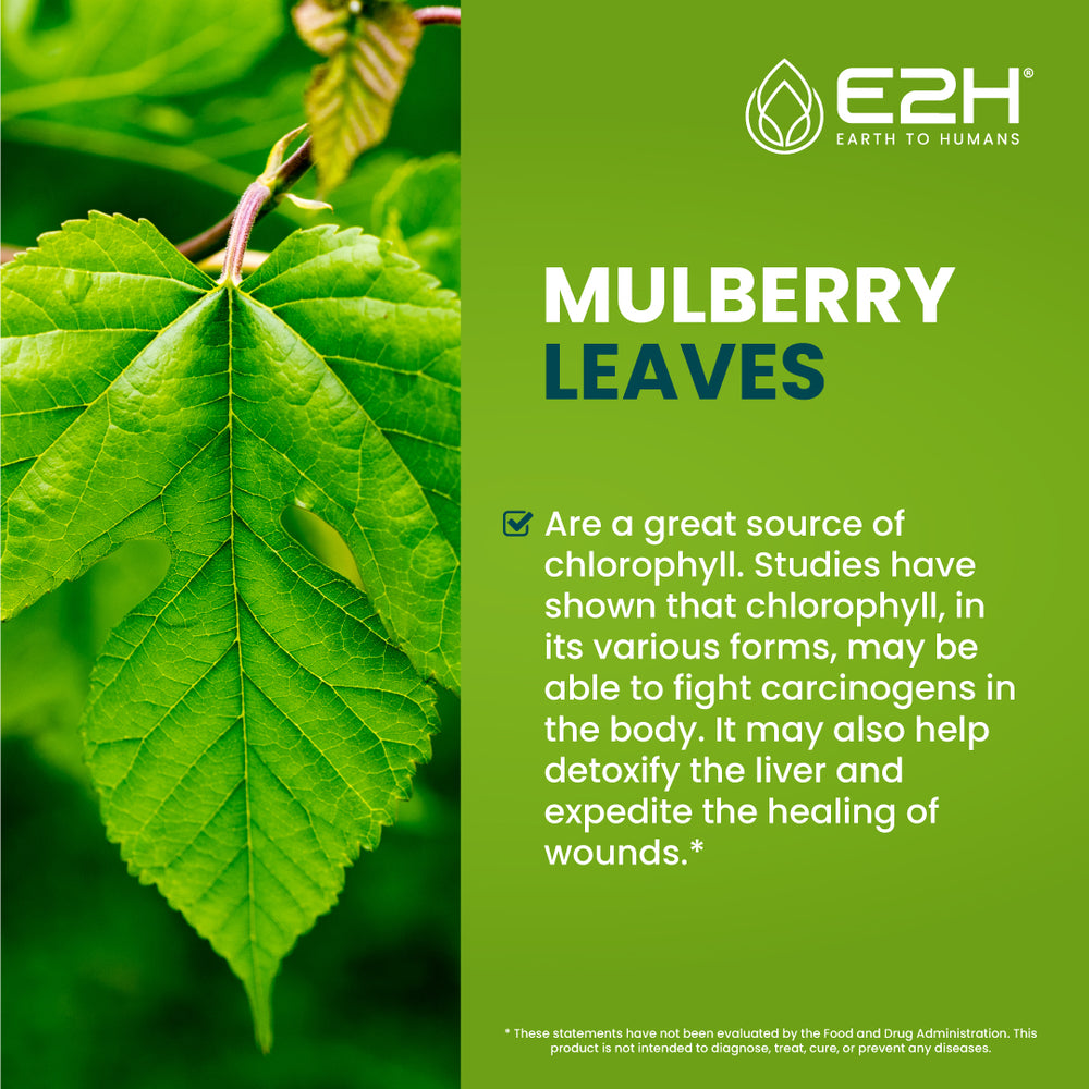 Chlorophyll made discount from mulberry leaves